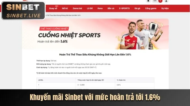 Hình ảnh tổng hợp các môn thể thao khác như bóng chuyền, thể thao điện tử